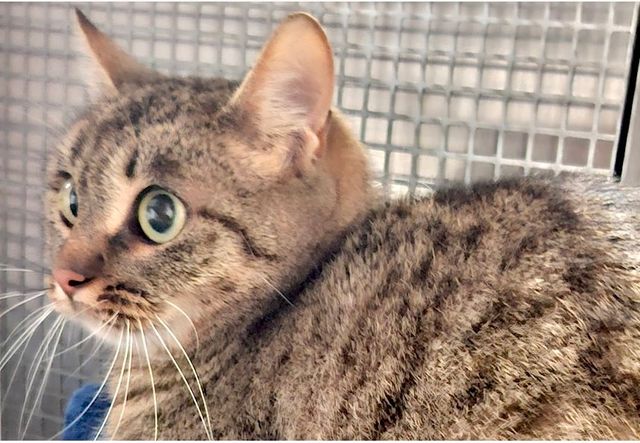 Bericht der Gemeinderatsfraktion Bündnis 90/Die Grünen Bad Friedrichshall